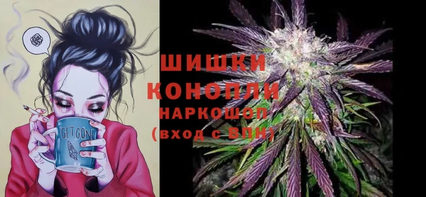 apvp Шали