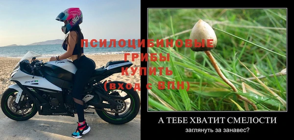не бодяженный Шадринск
