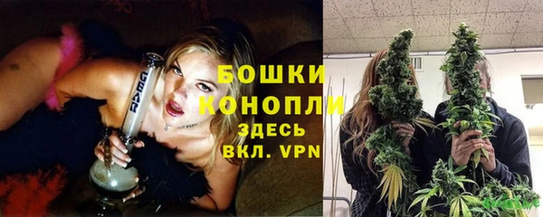 ПСИЛОЦИБИНОВЫЕ ГРИБЫ Волосово