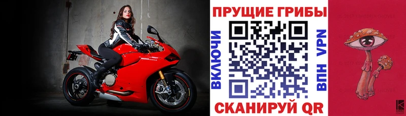 где найти   blacksprut ТОР  Псилоцибиновые грибы MAGIC MUSHROOMS  Микунь 