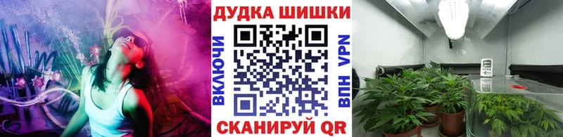 Шишки марихуана Ganja  купить наркоту  Микунь 